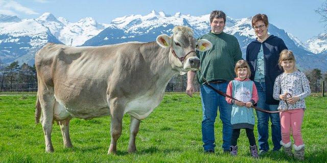 Familie Gstöhl aus Eschen FL mit der 100’000er Kuh Moiado Jamaica haben als Talbetrieb den Bio-Bruna-Award erhalten. (Bilder Braunvieh Schweiz)