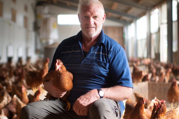 Hofladen-Dieb auf frischer Tat fotografiert, verhaftet – und freigelassen Josef Lenherr liefert den grössten Teil seiner Eier an die Migros. Einen Teil verkauft er direkt. Letztes Jahr stahl ein Mann 400 Franken Eiergeld aus einem Lagerraum. (Bild Benjamin Manser/St. Galler Tagblatt)