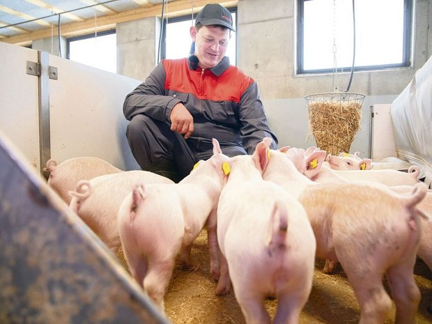 Kaspar Sigrist im neuen Schweinestall, wo emissionsmindernde und tierfreundliche Stallkonzepte realisiert wurden. 