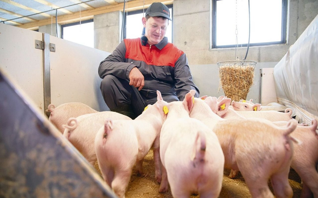 Kaspar Sigrist im neuen Schweinestall, wo emissionsmindernde und tierfreundliche Stallkonzepte realisiert wurden. 