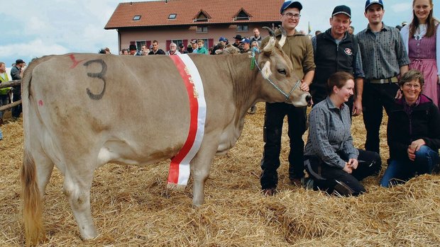 Miss OB Valerius Lin Miss OB Valerius Lindsey von Othmar Suter aus Schindellegi.