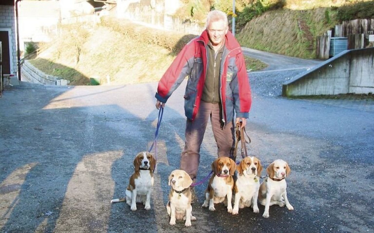 Josef Zumsteg mit einer Gruppe Beagles. Die Hunde waren lange Jahre die Leidenschaft des Paares.
