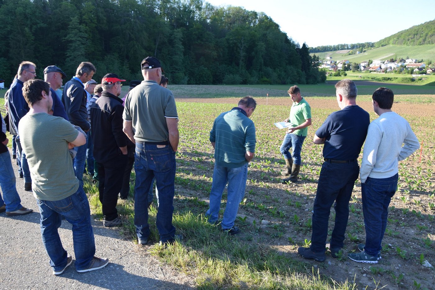 In Tegerfelden AG wurde die neue Rübensorte Smart Belamia und das Herbizid Conviso One vorgestellt. Beide Produkte sorgen für einen unkrautfreien Rübenanbau. (Bild Katrin Erfurt)