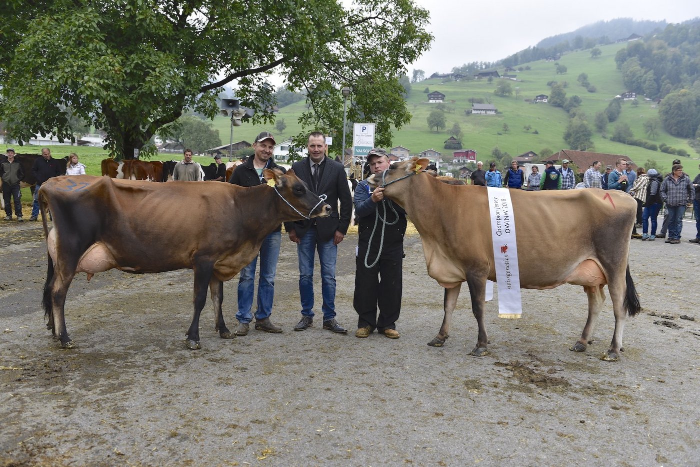 (Links im Bild; Vizechampion Tequila Timora mit Besitzer Daniel Sigrist aus Alpnach-Dorf  (links), Richter Roger Frossard und Markus von Ah mit der Champion Tequila Sherry von V-Cows aus Giswil. (Bilder zVg)