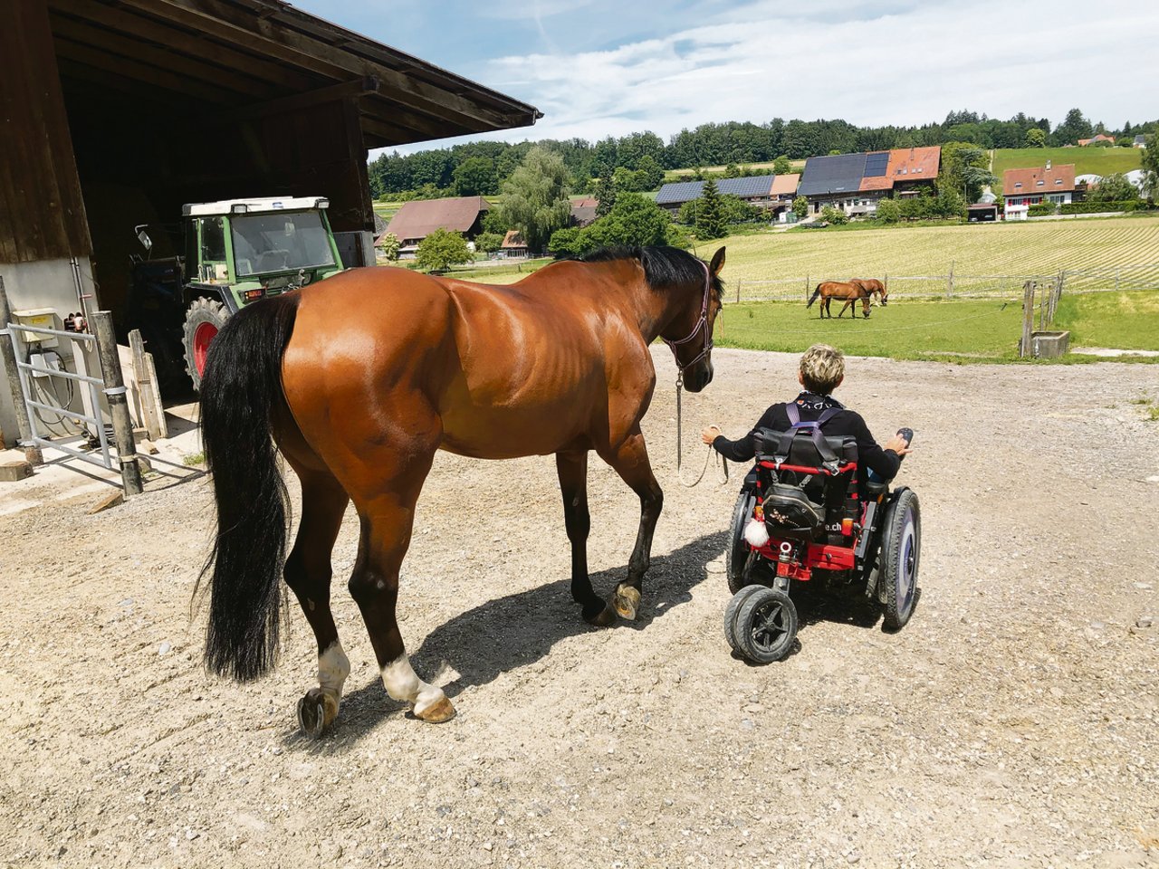 Anita Knuchel liebt Pferde über alles. Sie kann mit ihrem Rollstuhl sogar auf Sand fahren und so ihre Lieblinge zur Koppel führen. (Bild et)