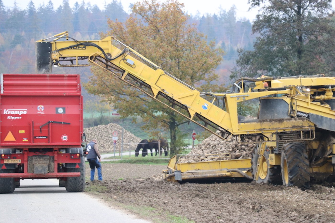 Der exakt geplante Einsatz der Verlademäuse ist Grundvoraussetzung für eine getaktete Anfuhr in die Zuckerfabrik. (Bild: Ruth Aerni)