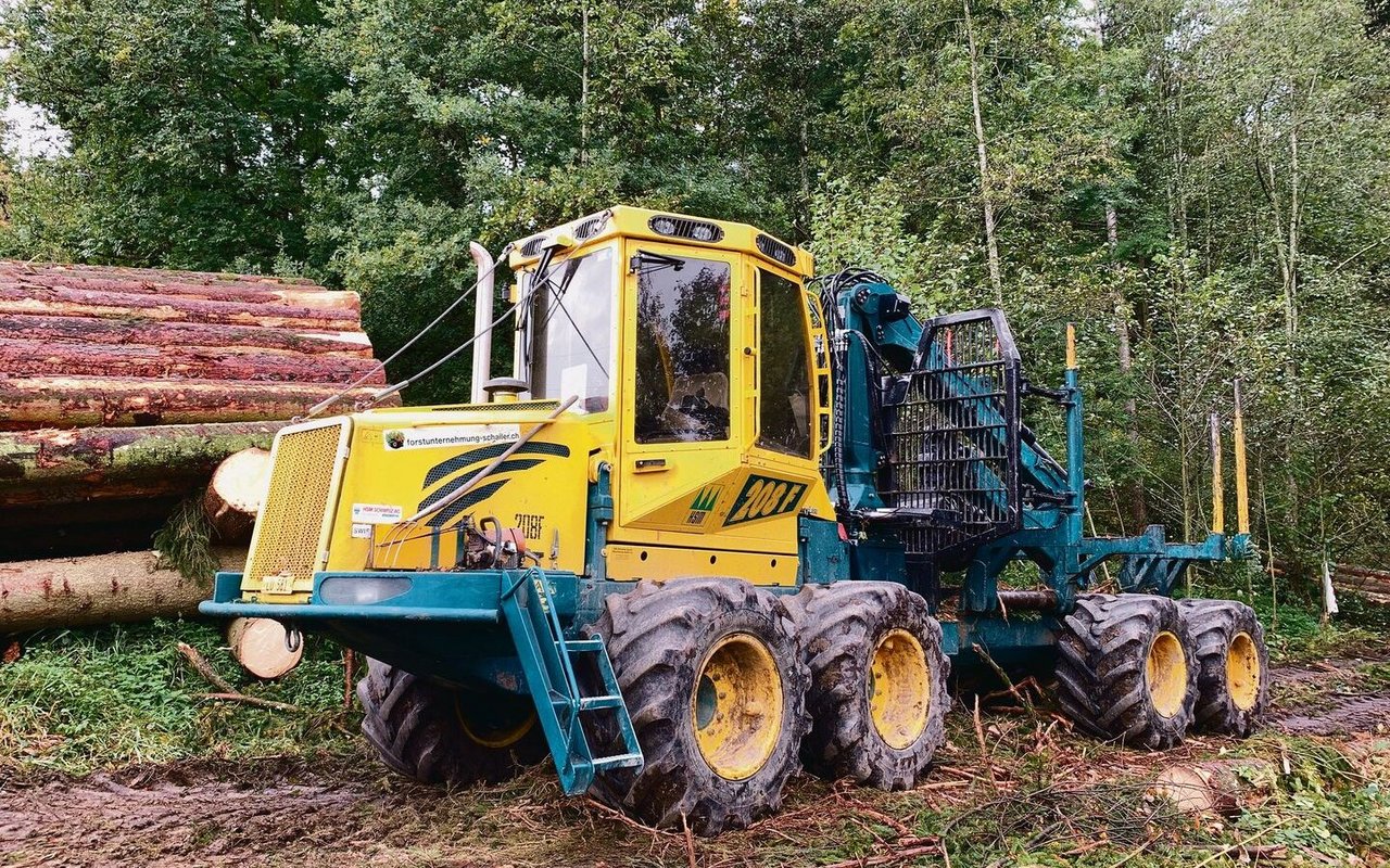 Der Forwarder HSM 208F ist das ideale Rückemittel für Kurzholz-Sortimente in Durchforstungen. 