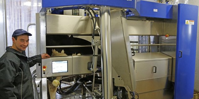 Thomas Näf spart dank dem Roboter Zeit. Zudem erhält er wichtige Informationen über die Kühe und die Milch. (Bilder Michael Wahl)