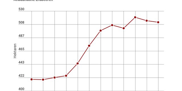 Stagnierendes Wachstum bei der Anbaufläche von Erdbeeren. (Grafik: LID)