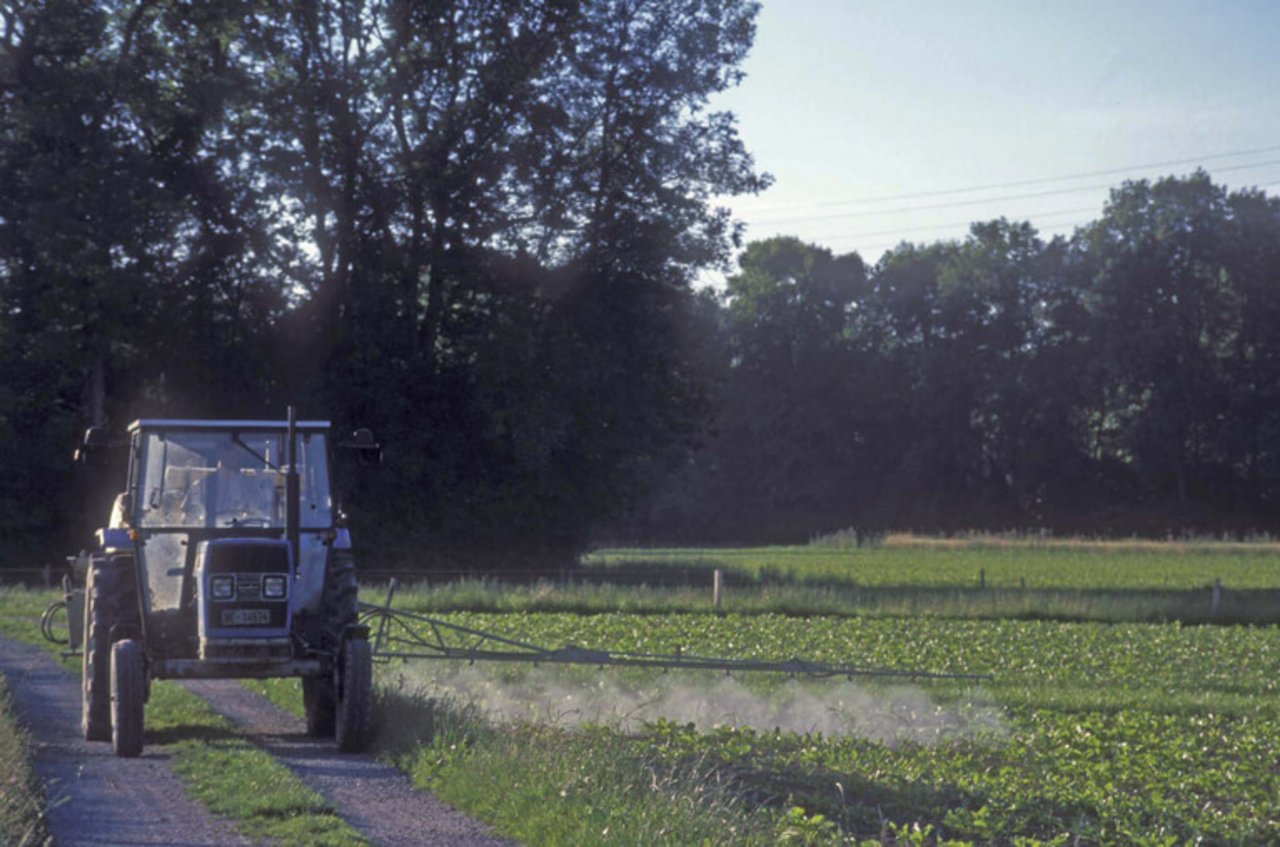 Die EU sieht im Verbot von Glyphosat einen Wettbewerbsnachteil für Österreichische Bauern. (Symbolbild, lid)