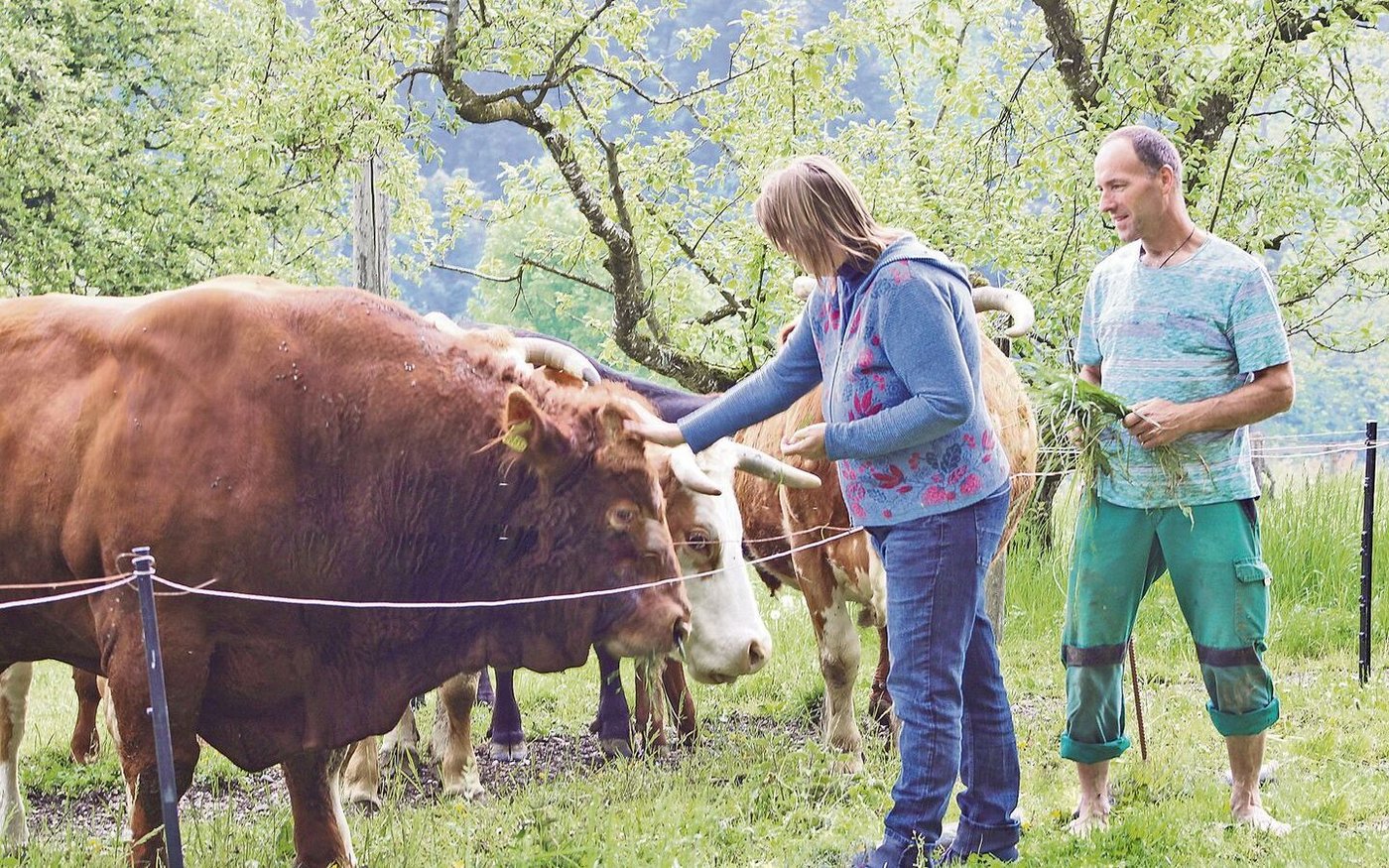 Bernadette und Franz Habermacher sind ihren Tieren sehr nahe. 