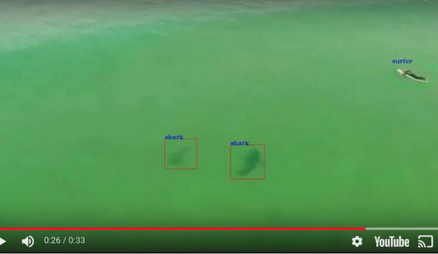 Die Kamera der Drohen kann Haie von anderen Lebewesen unterscheiden. (Screenshot Youtube)