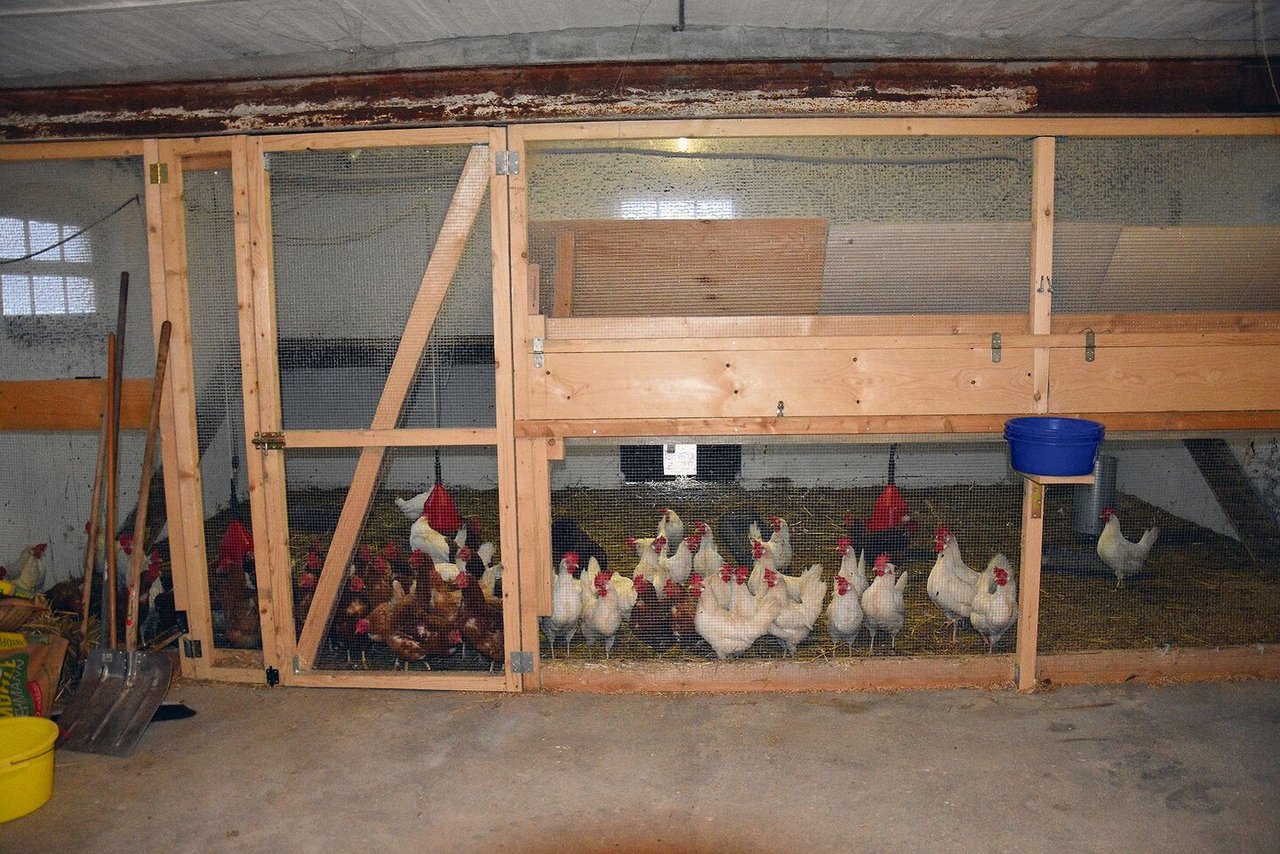 In einem lange ungenutzten Schweinestall haben Langs einen Hühnerstall eingerichtet und verkaufen die Eier im Hofladen.