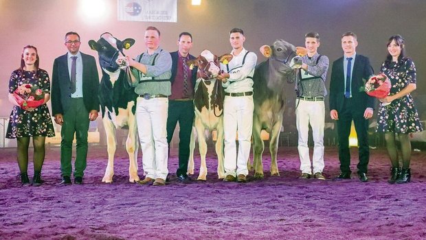 Die drei Champion-Ri Die drei Champion-Rinder der Aargauer Junior Expo mit Richtern und Ehrendamen.