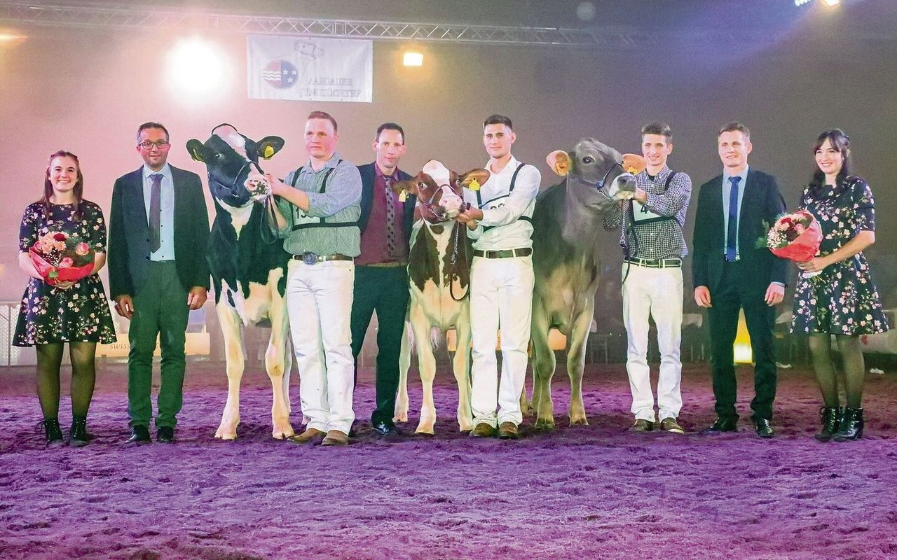 Die drei Champion-Rinder der Aargauer Junior Expo mit Richtern und Ehrendamen.