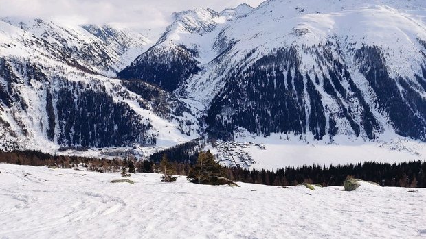 Den Sommer verbringe Den Sommer verbringen die Kühe des Betriebs Hischier hier auf der Grimsel, mit Blick auf die Gemeinde Oberwald.