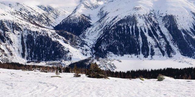 Den Sommer verbringen die Kühe des Betriebs Hischier hier auf der Grimsel, mit Blick auf die Gemeinde Oberwald.