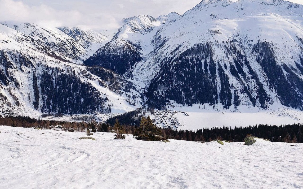 Den Sommer verbringen die Kühe des Betriebs Hischier hier auf der Grimsel, mit Blick auf die Gemeinde Oberwald.