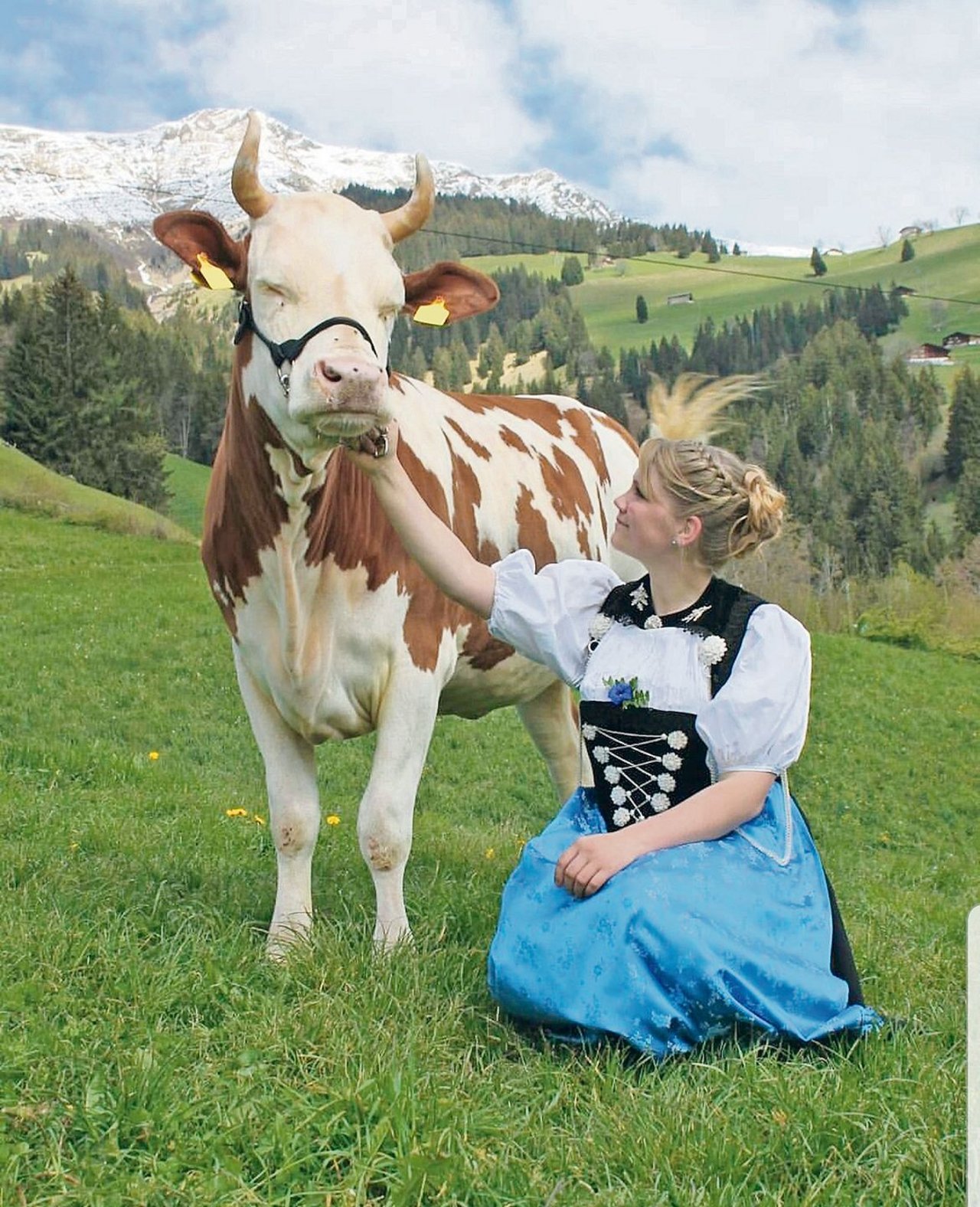 Die ​​​​​​​Trachtenfrau präsentiert auf dem Bild von Sandra Wandfluh aus Mamishaus BE ihre geflochtenen Haare zusammen mit Kuh Estelle.