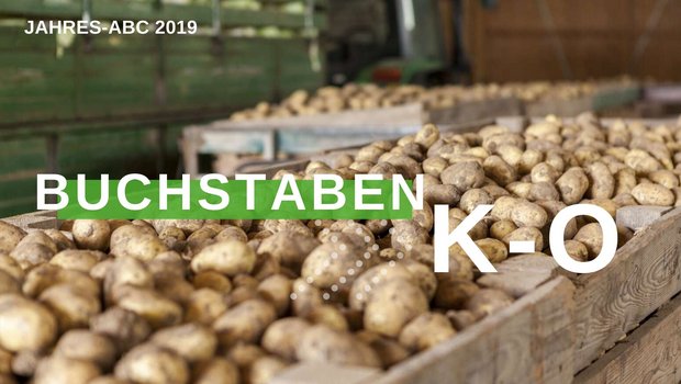 Jahresrückblick 2019 - Buchstaben K-O (Bild BauZ)