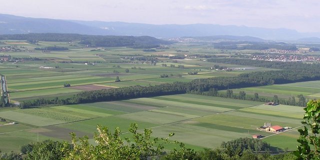 Die umstrittenen Landschaftsqualitätsbeiträge sollen laut Stiftung Landschaftsschutz weitergeführt werden. (Bild ji)