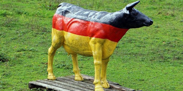 Deutsche Landwirte müssen deutlich mehr Zeit für Bürokratie aufwenden als noch vor ein paar Jahren, meldet der Deutsche Bauernverband. (Bild pd)
