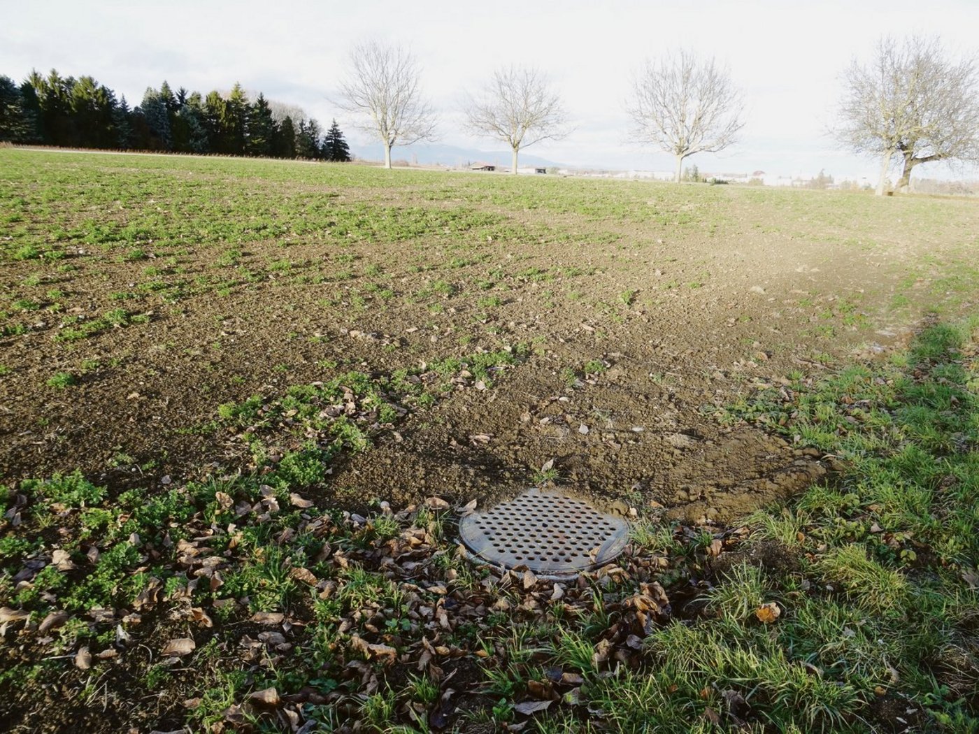Viele offene Schächte in Aargauer Feldern gehören nicht den Bauern, sondern den Gemeinden. Diese seien mehr in die Pflicht zu nehmen. (Bild eawag)