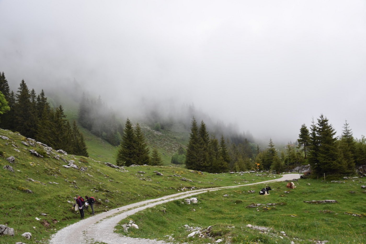 Urlandschaft Brecca: Bei Nebel sehr mystisch.