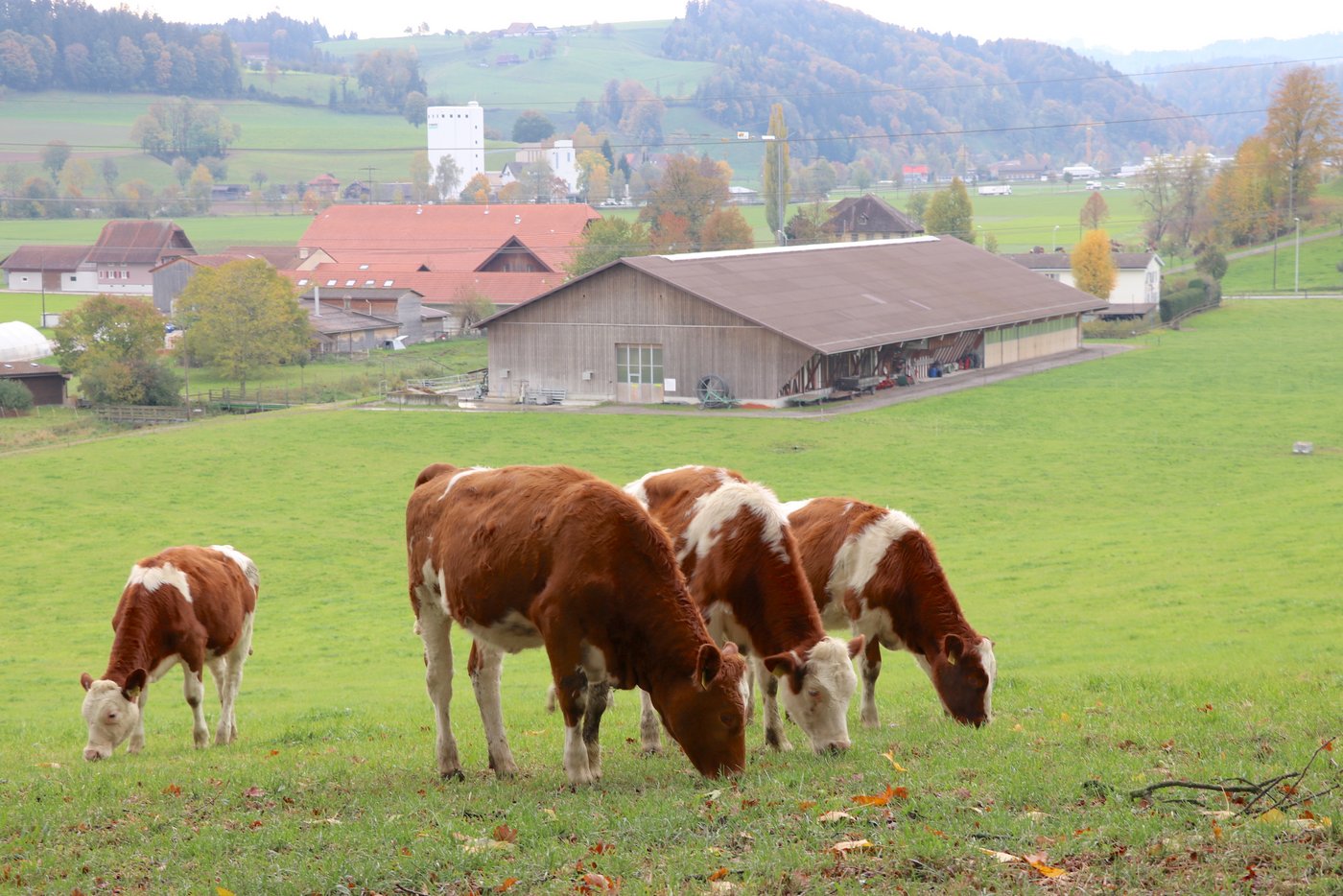 Die Bio-Strategie solle künftig noch "kompromissloser" verfolgt werden, liess die Stiftung letztes Jahr verlauten.