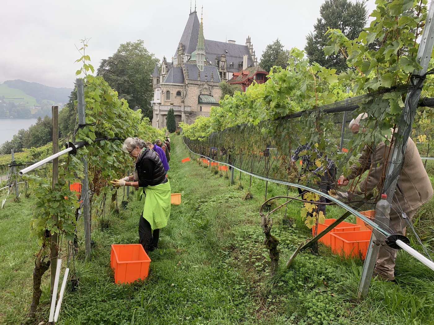 Bilder Josef Scherer