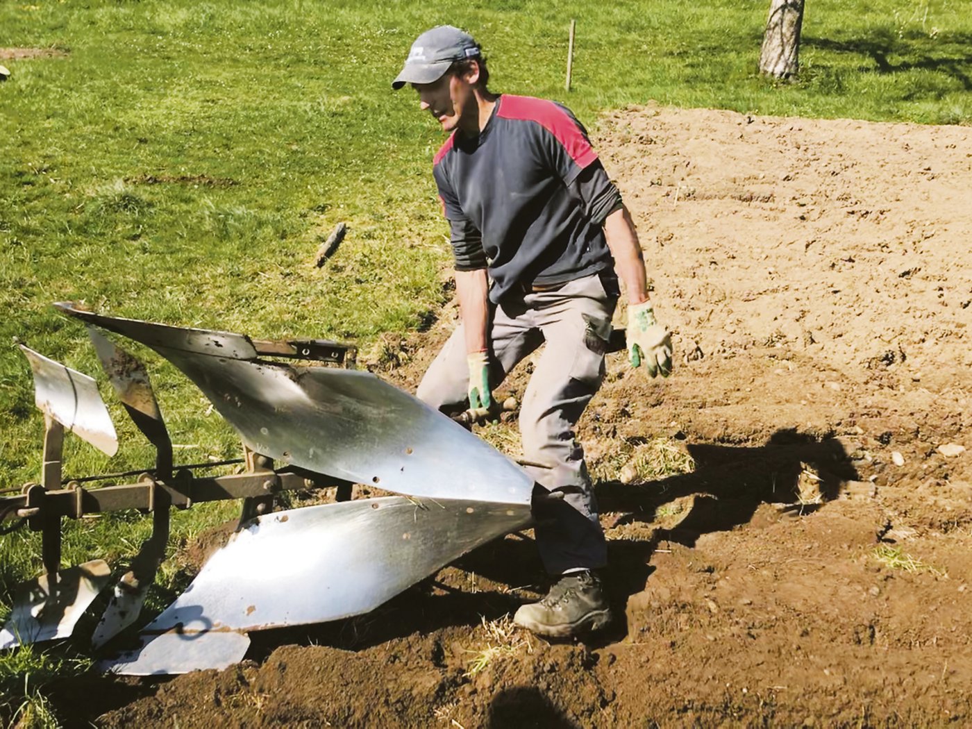 Nach jeder neuen Furche stellt Landwirt Urs Altorfer den Pflug um.