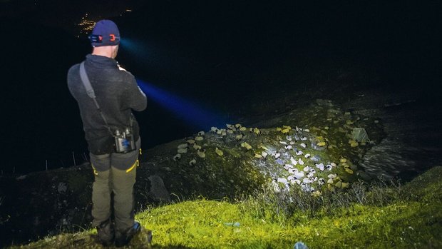 Mit der Dunkelheit v Mit der Dunkelheit verstärkt sich die Anspannung: Ein Hirte bewacht nachts Schafe auf der Alp La Corbassière im Val de Bagnes VS, um sie vor Wolfsangriffen zu schützen.