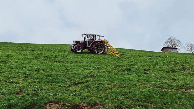 Diese Parzelle im Entlebuch kann nach einer Aufwertung – die Reihenwege wurden ausplaniert, das Unkraut bekämpft – wieder als Mähweide intensiv bewirtschaftet werden.