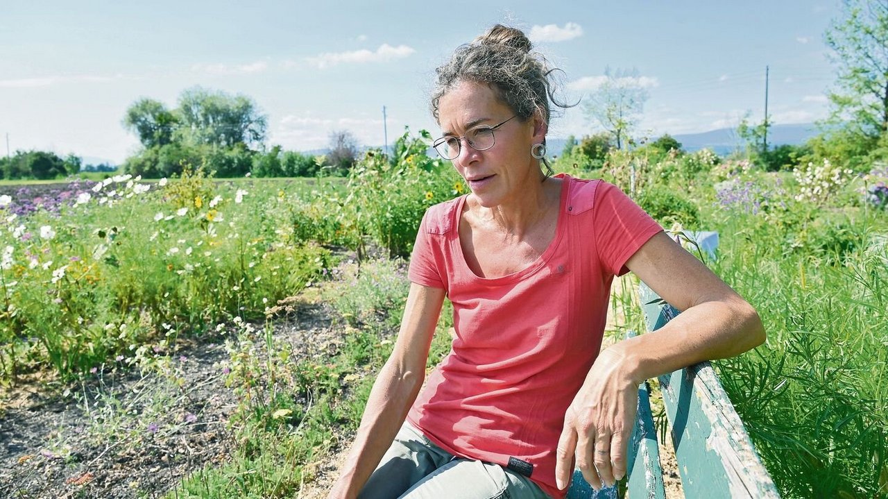 Judica Altmann sitzt abends gerne auf diesem Bänkli. Nach dem verheerenden Hagelsturm Ende Juni war das anders. Sie ertrug den Anblick lange nicht und musste abends vom Hof weg. Einige Blumen haben sich etwas erholt, die üppige Pracht fehlt aber. 