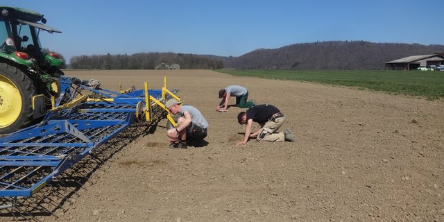 Simon Ruch aus Mauren TG (vorne) sucht mit seinen Arbeitskollegen nach den ausgesäten Rübensamen, um zu beurteilen, wie nahe unter der Erdoberfläche sie bereits sind. (Bilder zVg)
