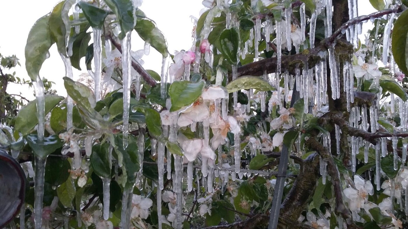Die Landwirtschaft steht vor grossen Herausforderungen. (Bild Daniel Weber)