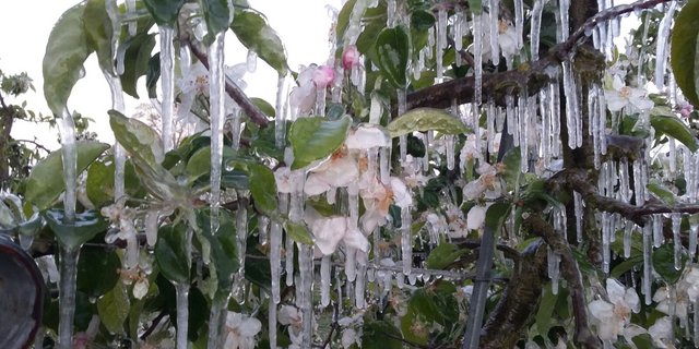 Die Landwirtschaft steht vor grossen Herausforderungen. (Bild Daniel Weber)