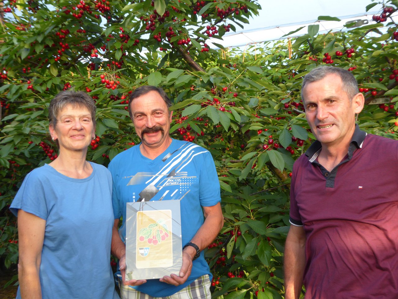 Franz Freiermuth vom VAOP (rechts) übergab Zita und Hansruedi Burkart aus Obermumpf den Preis für die schönste Aargauer Kirschenanlage. (Bild zVg)