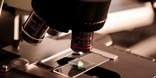 Die Forschung sieht sich nun auch ethischen Fragestellungen gegenübergestellt. (Symbolbild Pixabay)