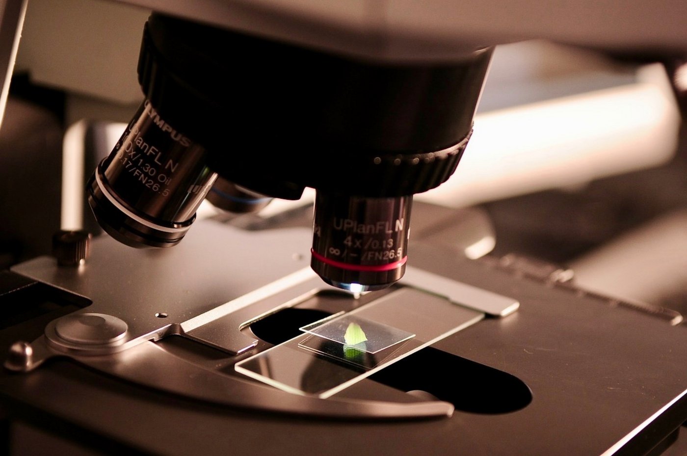 Die Forschung sieht sich nun auch ethischen Fragestellungen gegenübergestellt. (Symbolbild Pixabay)