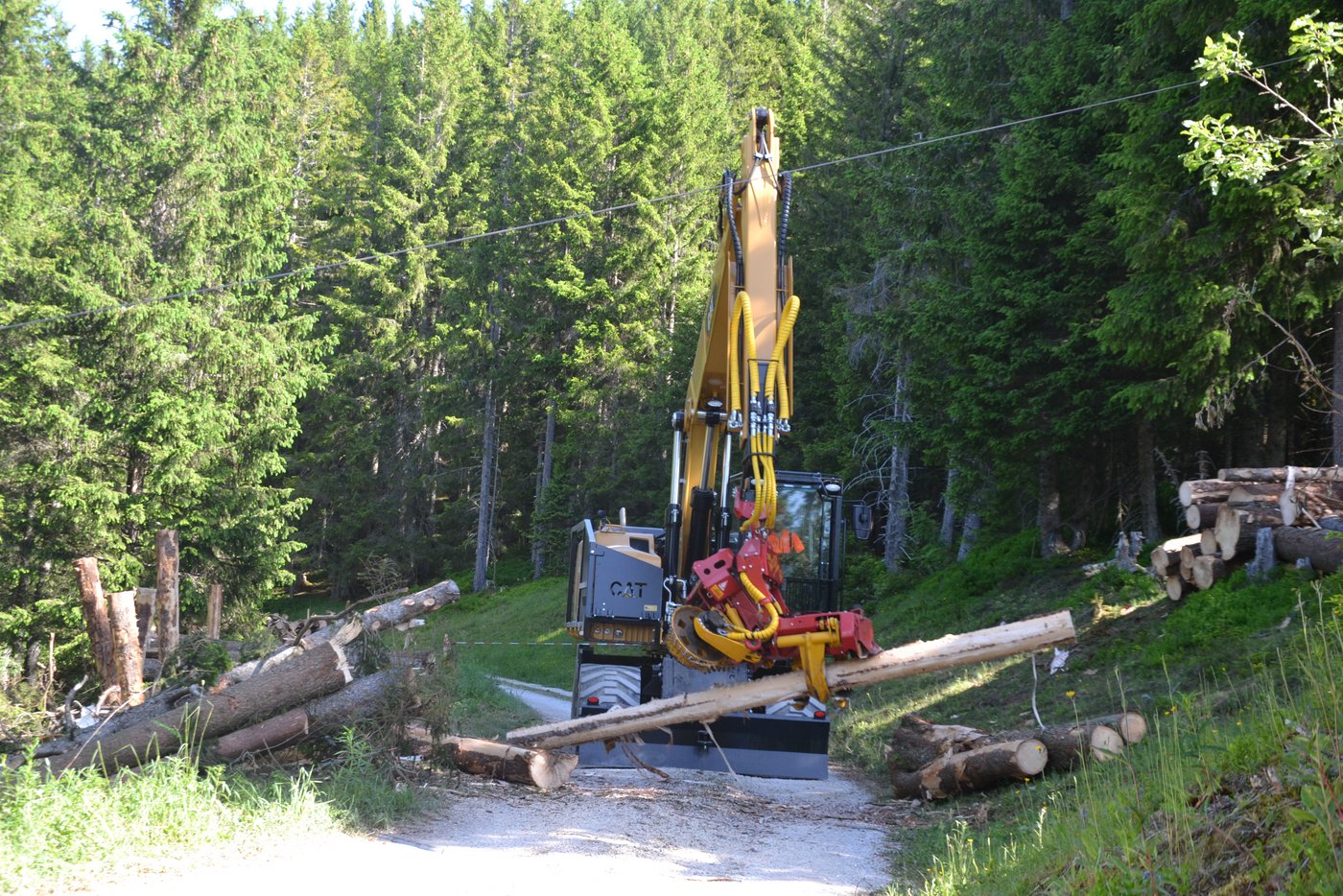 So macht das Entasten und zersägen der Stämme Spass. 
