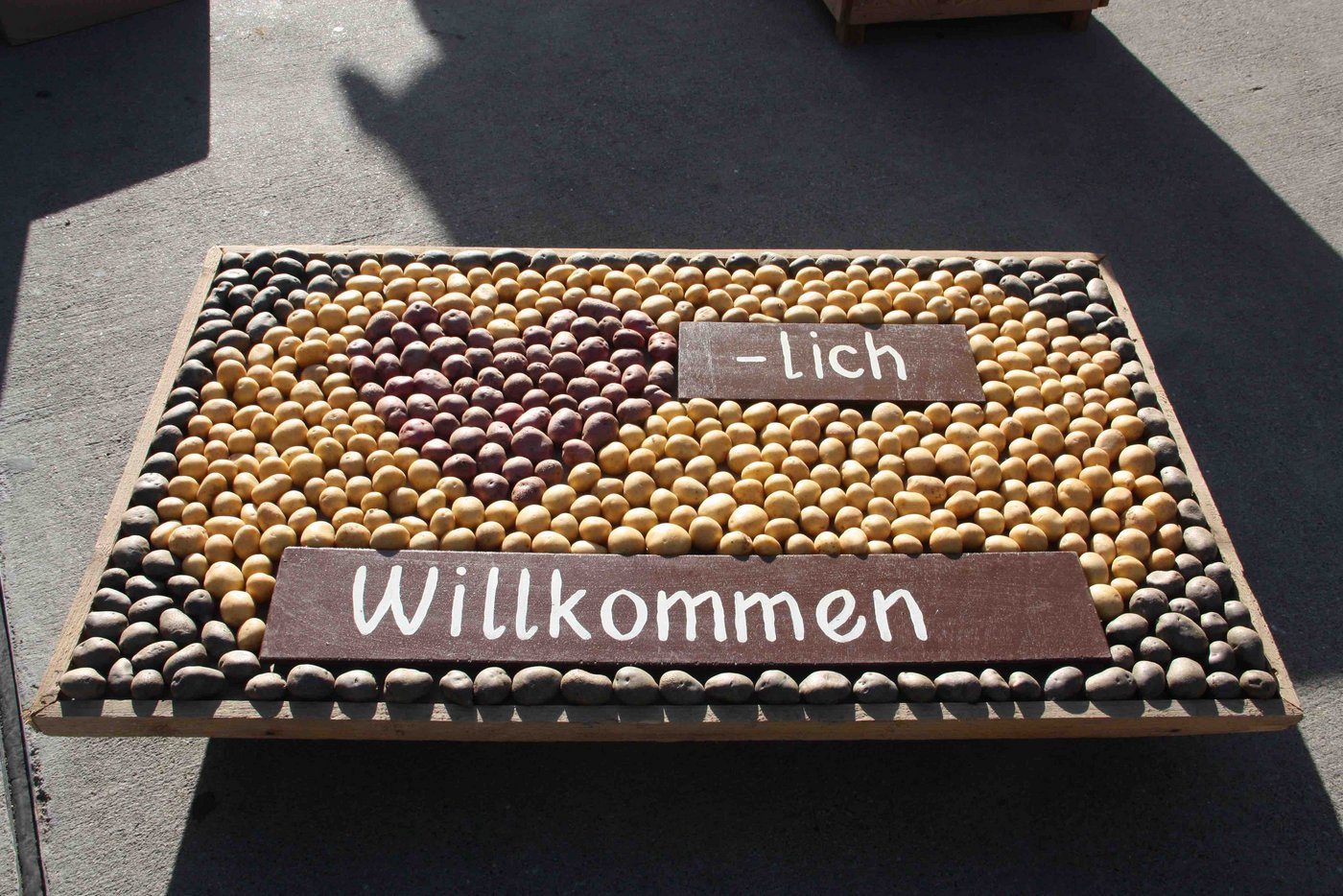 Kartoffeln kann man nicht nur in unzähligen Varianten essen, sie machen sich auch als Dekoration gut. 