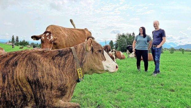 Bunte Herde mit Zweinutzungstypen: Daniela und Walti Haas auf der Weide in Hellbühl. Seit 2017 sind sie bio, zusätzlich wird heute antibiotikafrei produziert.