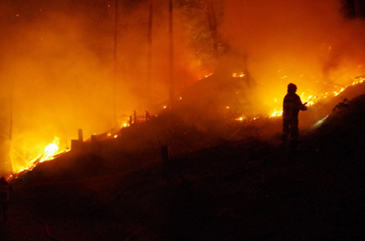 Die Feuerwehr kämpfte mit 20 Personen gegen den Brand ... (Bilder: Kapo GR)
