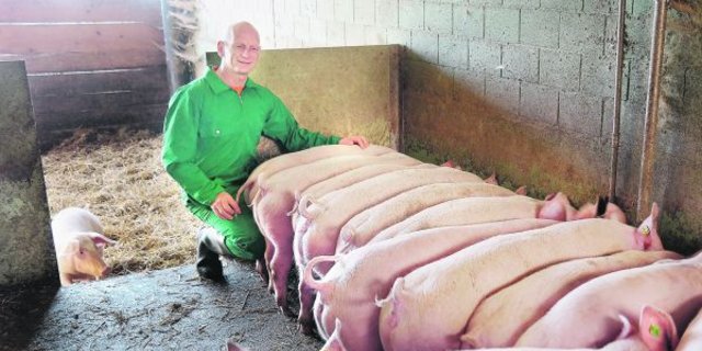 Biobauer Dominik Estermann aus Rickenbach LU beim Füttern seiner Biomastschweine im Offenfrontstall. (Bild Josef Kottmann)