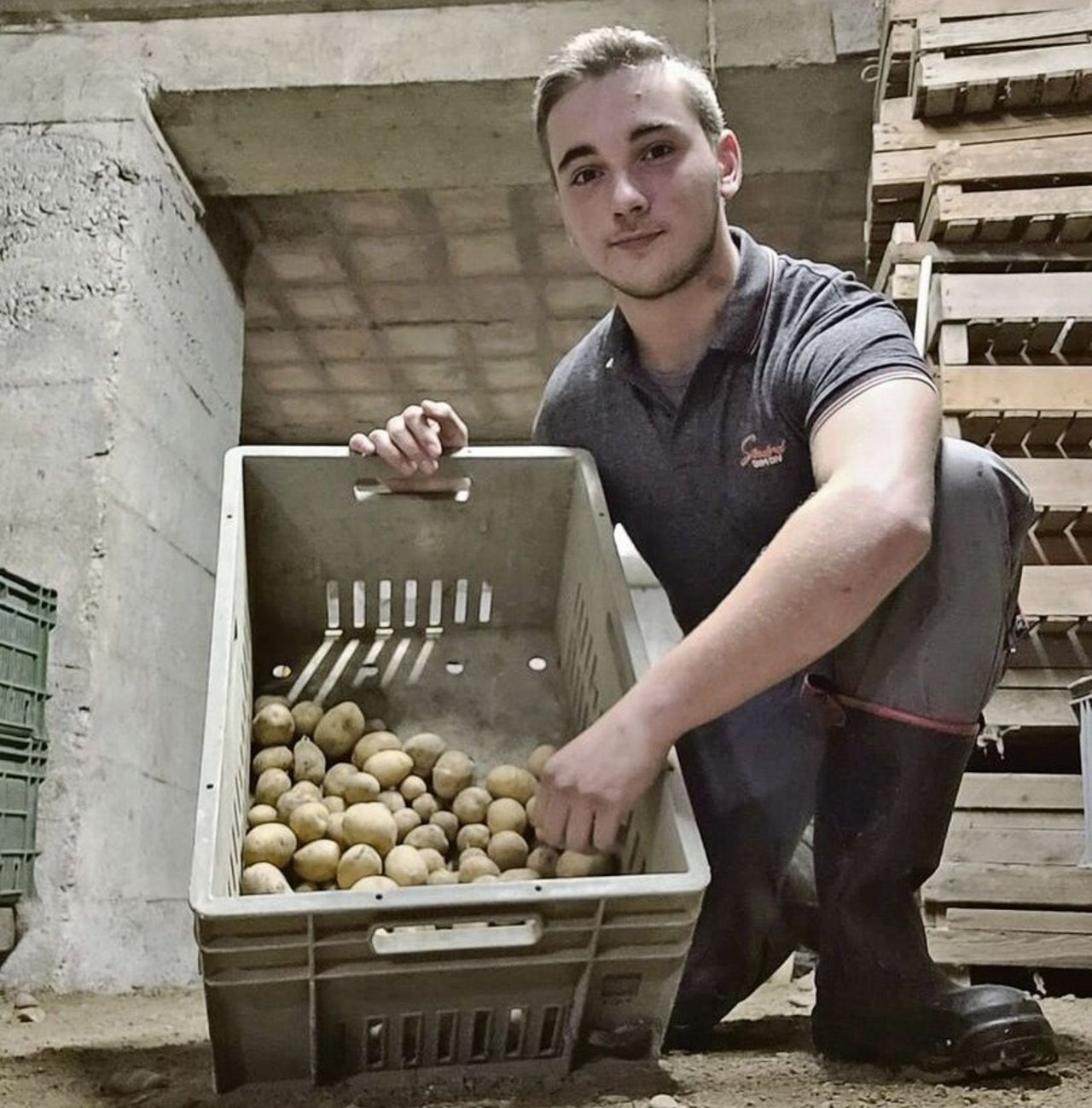 Lukas Niederberger ist im zweiten Lehrjahr. Kürzlich hat sein Lehrbetrieb in Belp BE die Kartoffelernte abgeschlossen.