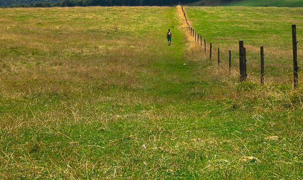 Ein stabiler, regelmässig kontrollierter Zaun hilft dabei, Wanderer ausserhalb und weidende Tiere innerhalb der Weide zu halten. (Bild Pixabay)