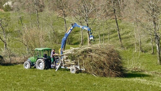 Sobald Jan Lüscher und sein Vater mit ihrer Arbeit fertig sind, wird das Schnittgut abgeholt.