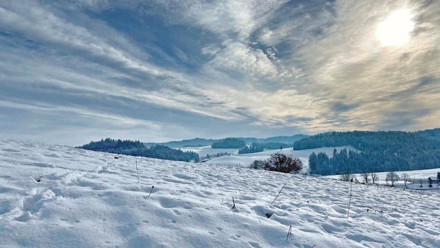 Schnee im Flachland an den Festtagen ist ein rares Bild. Heuer wären weisse Weihnachten theoretisch möglich. (Bild Adrian Krebs)