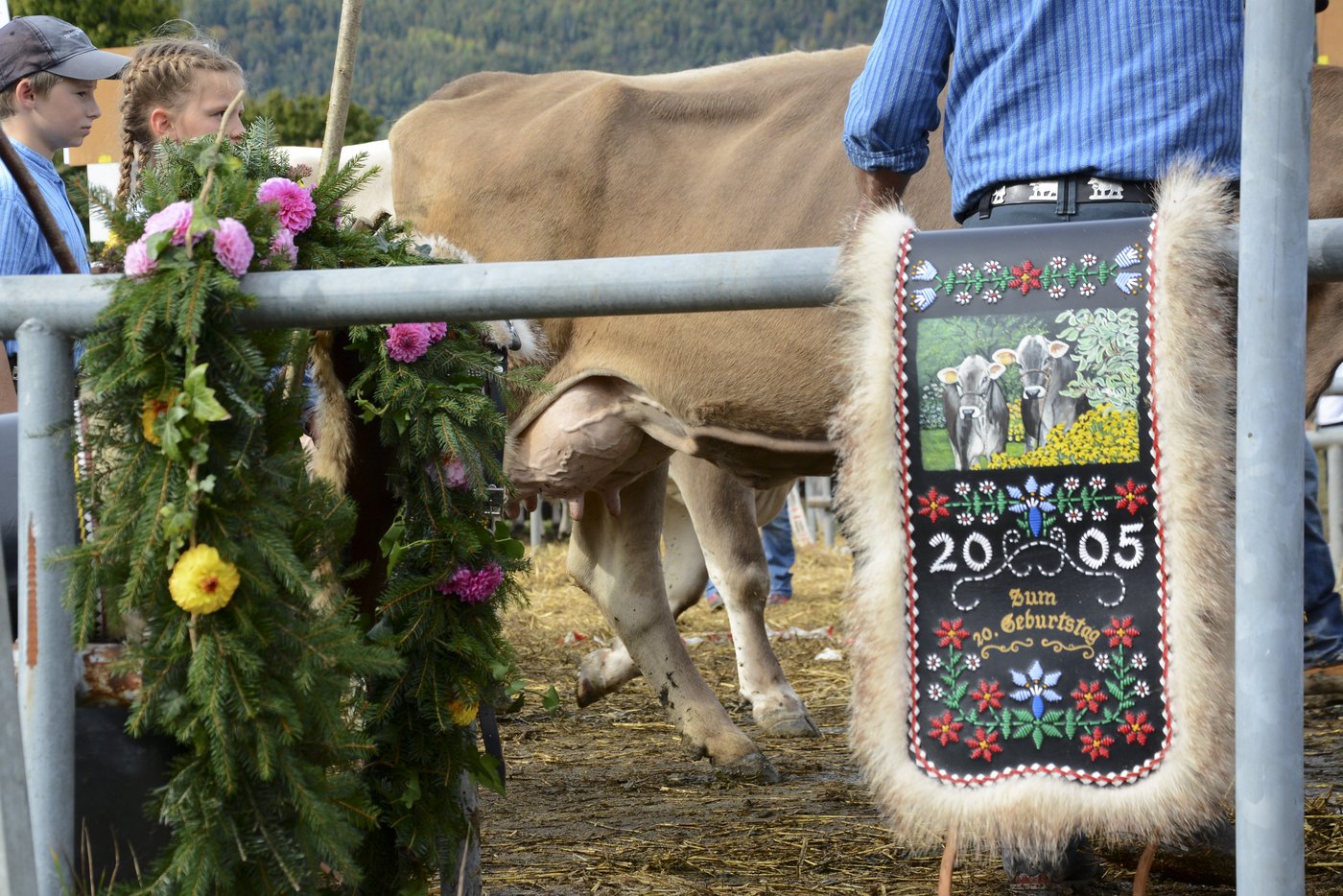 Der üppige Schmuck ist bereit.